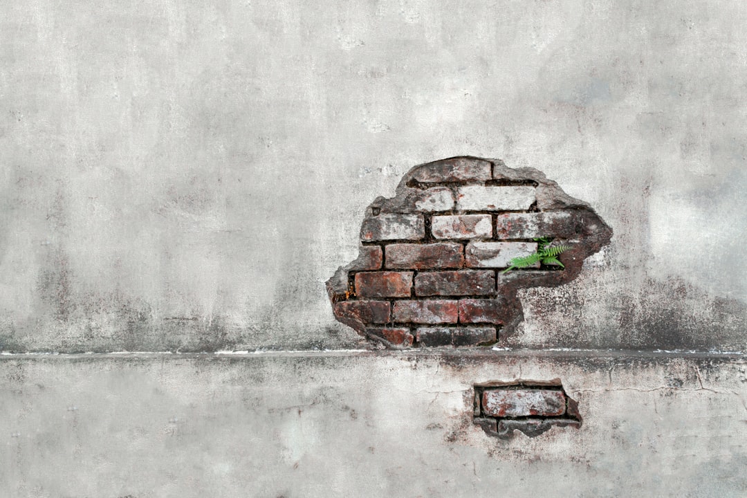 Top-5 emocionālā intelekta prasmju, kas nepieciešamas veiksmīgai karjerai 2025. gadā: kā tās attīstīt praksē.