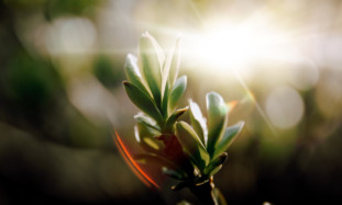 Kā efektīvi izmantot sociālos tīklus profesionālo sakaru attīstībai