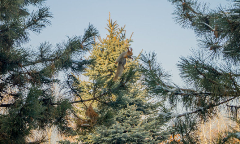 Elastīgs darba grafiks kā galvenā priekšrocība darbiniekiem mūsdienīgajā darba pasaulē