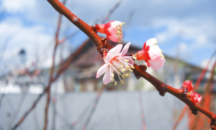 Kā izmantot aktīvās klausīšanās tehniku konfliktu atrisināšanai darbā