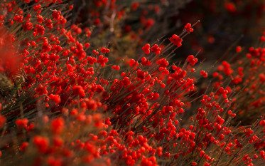 Elastīgs darba grafiks: kā tas var palielināt produktivitāti un darbinieku apmierinātību blog image