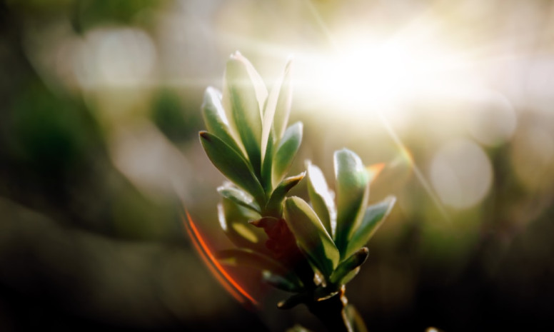 Kā efektīvi izmantot sociālos tīklus profesionālo sakaru attīstībai