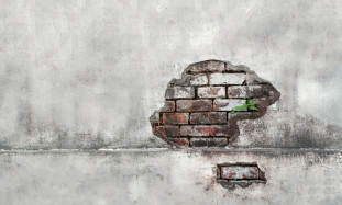 Top-5 emocionālā intelekta prasmju, kas nepieciešamas veiksmīgai karjerai 2025. gadā: kā tās attīstīt praksē.