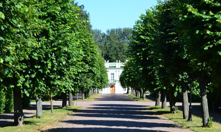 Kā pārvarēt bailes no publiskiem uzstāšanās: praktiski padomi un stratēģijas