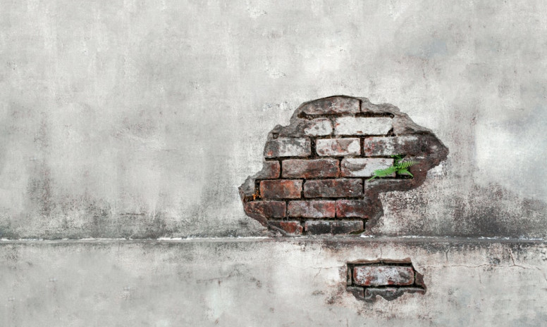 Top-5 emocionālā intelekta prasmju, kas nepieciešamas veiksmīgai karjerai 2025. gadā: kā tās attīstīt praksē.