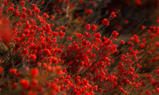 Elastīgs darba grafiks: kā tas var palielināt produktivitāti un darbinieku apmierinātību